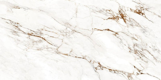 STR1700 / PANSUCAP6012SR