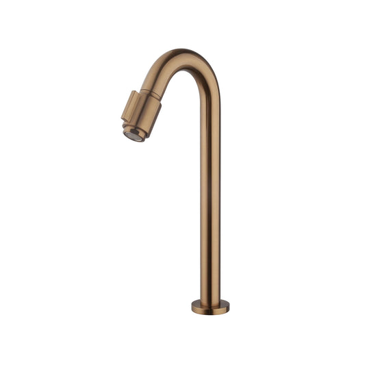 Victoria 1/2 Toiletkraan Wiesbaden in geborsteld bronskoper