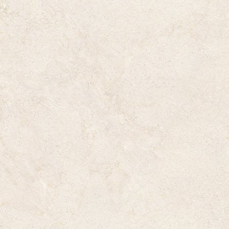 STR1590 / PANCOCCO1212R