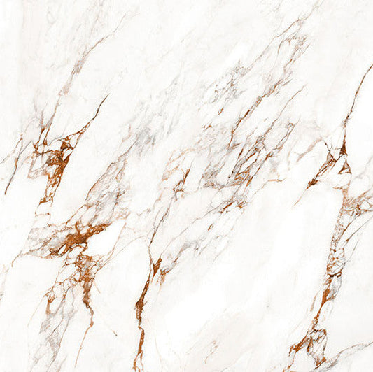 STR1702 / PANSUCAPRGR