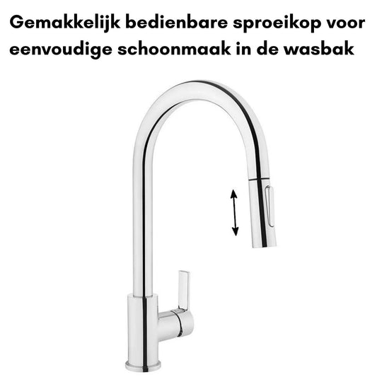 VitrA Masterline Maestro Keukenkraan