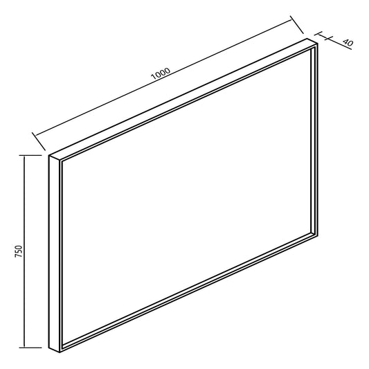 Ribella Spiegelkast Wiesbaden met Frame 100 cm Mat Zwart