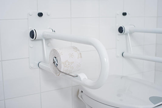Ridder Leo Toiletrolhouder voor Toiletbeugel Wiesbaden Wit