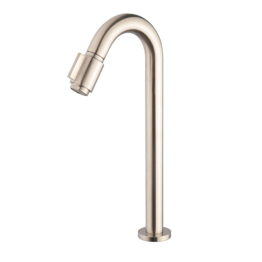 Caral Victoria robinet fontaine XL 1/2'' acier brossé PVD