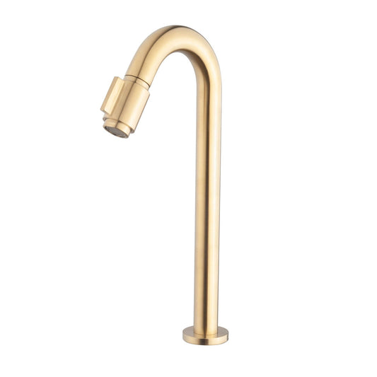 Caral Victoria robinet fontaine XL 1/2'' laiton brossé PVD