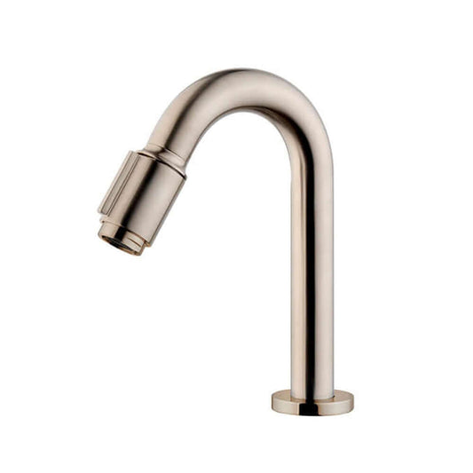 Caral Victoria robinet fontaine 1/2'' acier brossé PVD