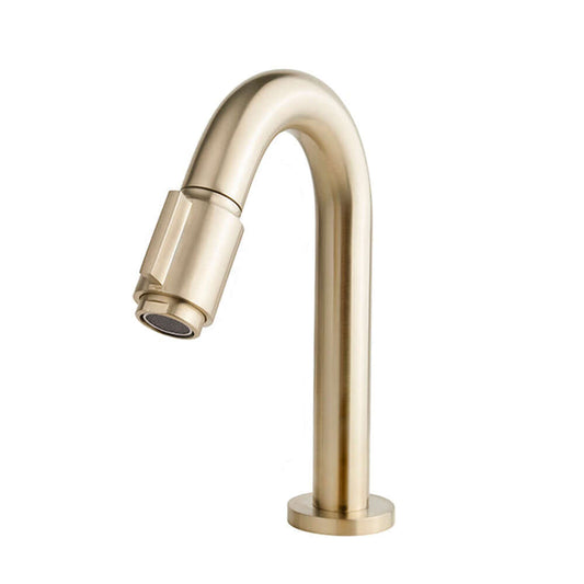 Caral Victoria robinet fontaine 1/2'' laiton brossé PVD